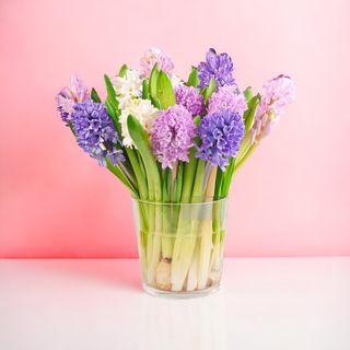 Bukiet hiacyntów mały 