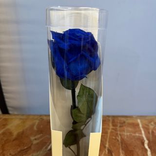Rosa eterna con tallo color azul