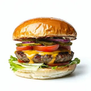 Hamburger Vegetal