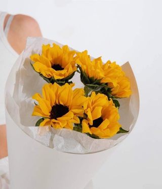 მზესუმზირა