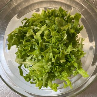 insalata verde