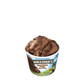 Ben & Jerry's Choco Fudge Brownie 100 ml