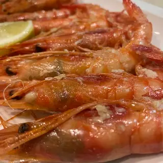 Gamba Roja