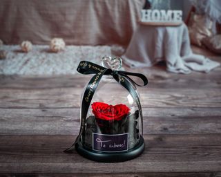 Cupola inima ''Te iubesc''