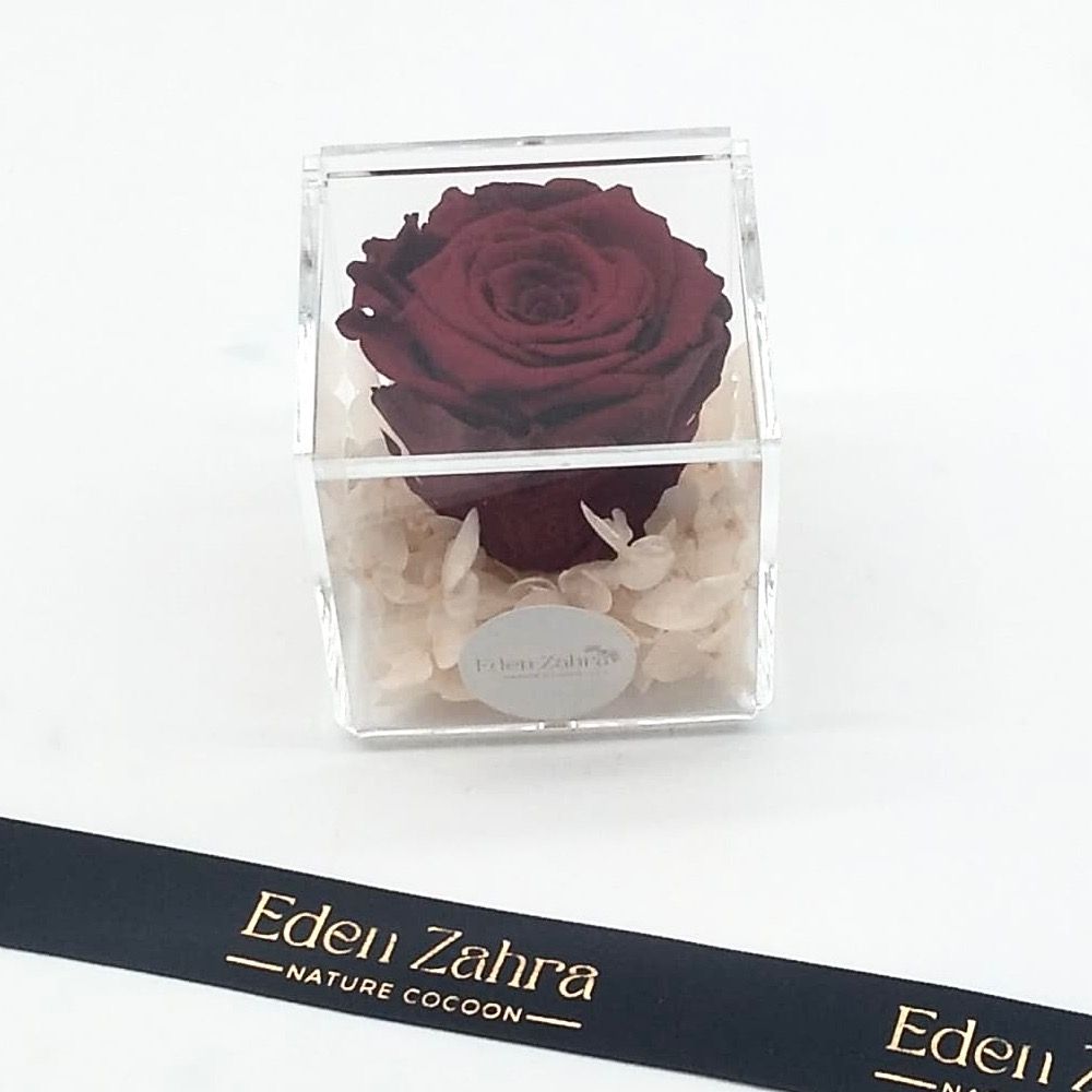 Collection Acrylique 