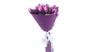 Buket od 11 ljubičastih lala