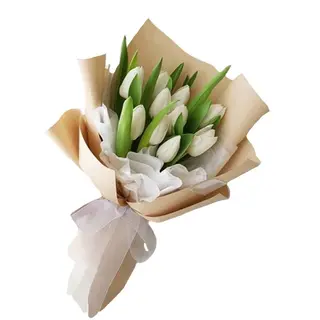 Tulipani colore disponibile a noi!002