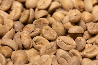 caffè TOSTATO FRESCO Colombia Washed Supremo Screen 18 Sierra Madre 