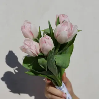 Ramo de 5 Tulipanes Rosado