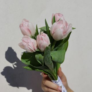 Ramo de 5 Tulipanes Rosado