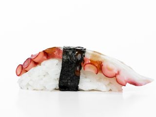 110 Nigiri tako - 2 pezzi