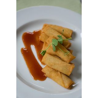 Rol de primavara de legume