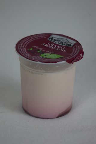 Iogurt Bifidus Desnatat Fruits Del Bosc Granja Armengol 125Gr