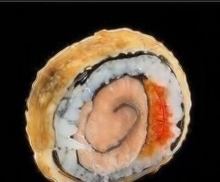 Dragon Eye - 4 Pièces