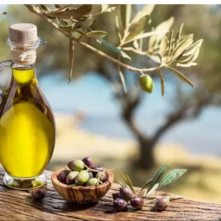Olio evo
