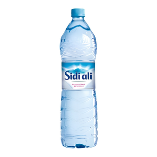 Sidi Ali