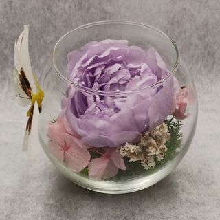 Peonia morada premium preservada