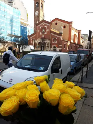 10 Rose gialle
