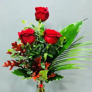 3 ROSAS ROJAS 