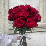 RED roses 15
