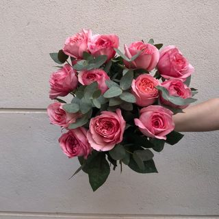 ramo 12 rosas Pink expresión premium  con verdes 