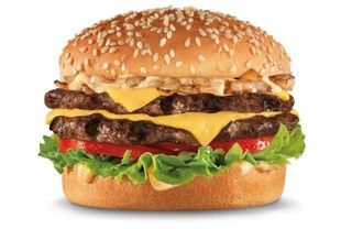 Double cheese burger