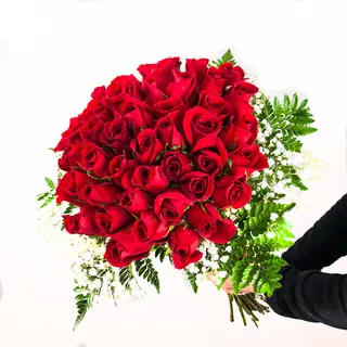 50 Rosas Rojas
