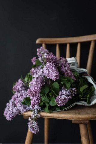 ისამანი