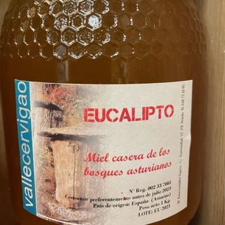 Miel De Casa De Eucalipto