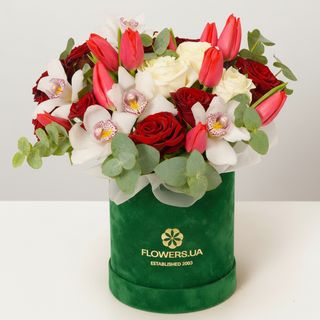 Композиція"Stunning Lady"