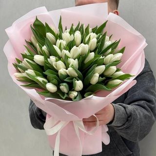 51 білий тюльпан 