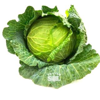 Repollo Rizo Pieza (2 Kg Aprox)