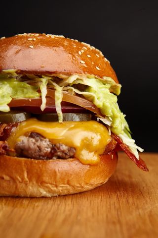 Burger Nueva Mexican