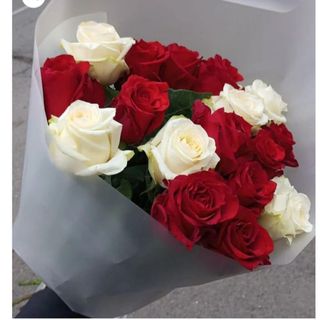 17  rouge et blanc 42