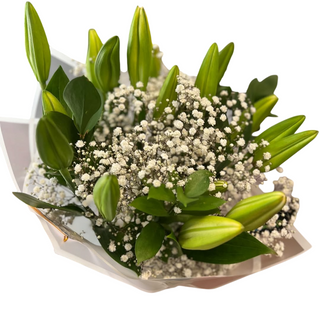 Lilly + White Gysophilia