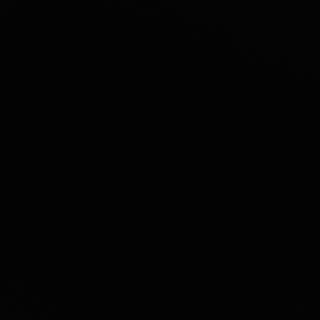 Pui de balta cu sos chinezesc 