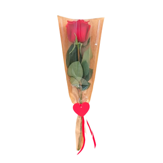 1 Rosa Vermelha