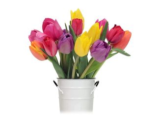 Микс лалета 13 бр