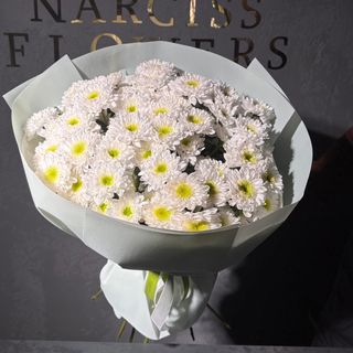 9 гілочок кущової хризантеми 