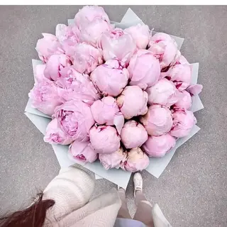 Peonie 12
