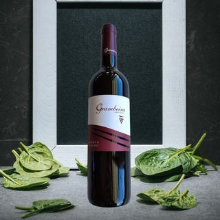 Grambeira Tinto
