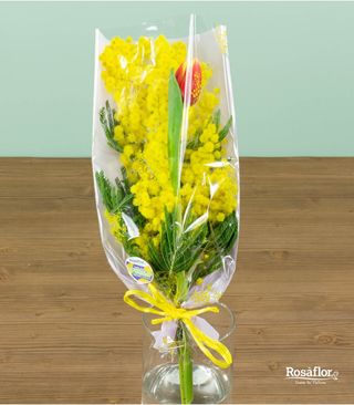 PICCOLO MAZZO DI MIMOSA E TULIPANI
