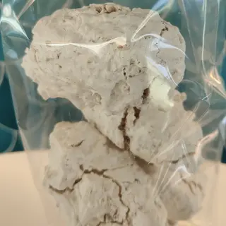 Brutti ma buoni