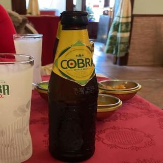 Cerveza hindú Cobra (330 ml.)