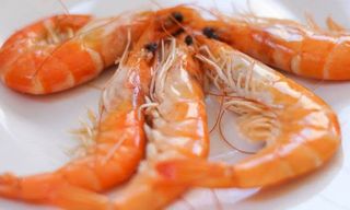 806. Camarão cozido