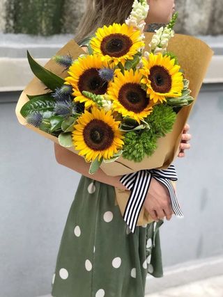 
მზესუმზირა მატიოლა