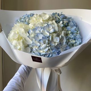 Моно з гортензій