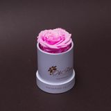 Trandafir criogenat roz în mini-cutie alba