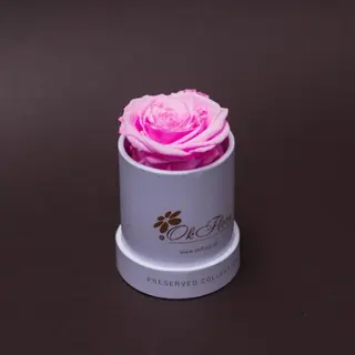 Trandafir criogenat roz în mini-cutie alba