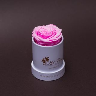 Trandafir criogenat roz în mini-cutie alba